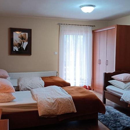 Apartment Medo Ravna Gora Bagian luar foto