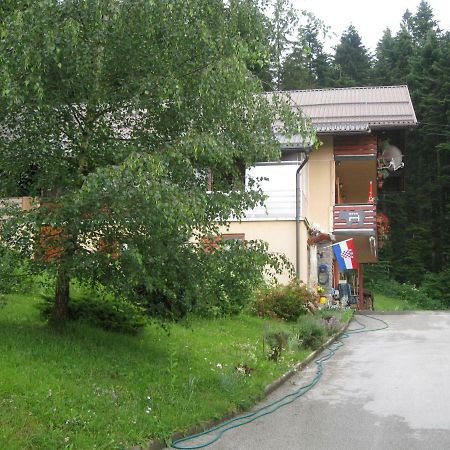 Apartment Medo Ravna Gora Bagian luar foto