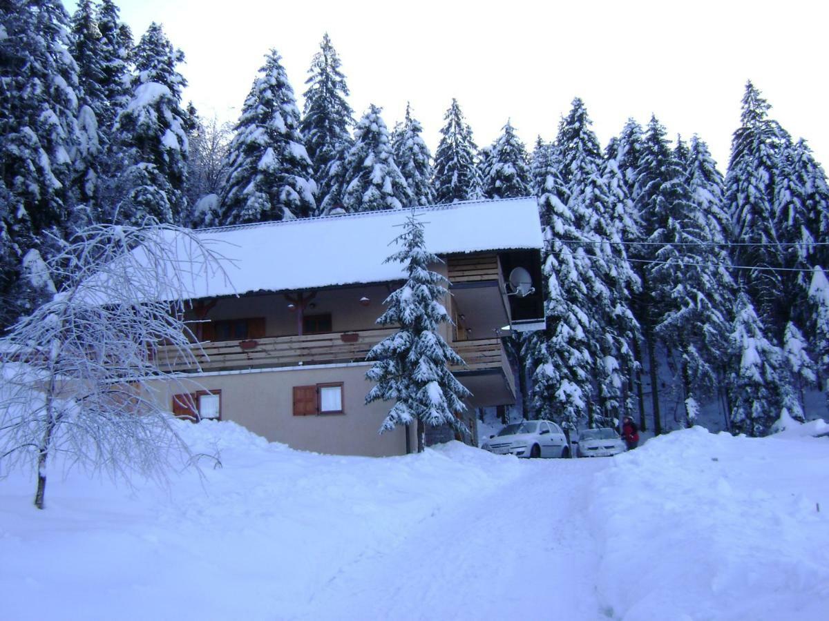 Apartment Medo Ravna Gora Bagian luar foto