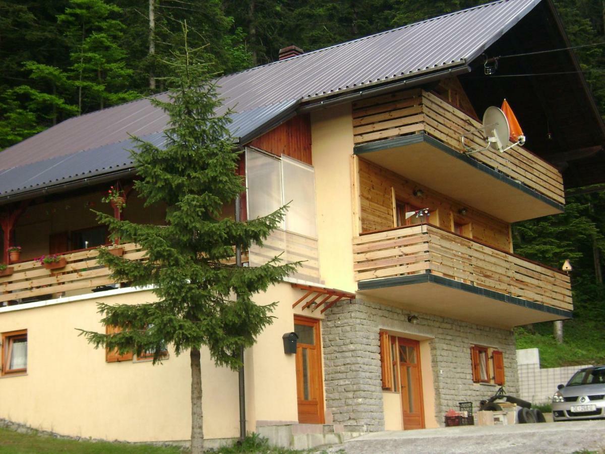 Apartment Medo Ravna Gora Bagian luar foto