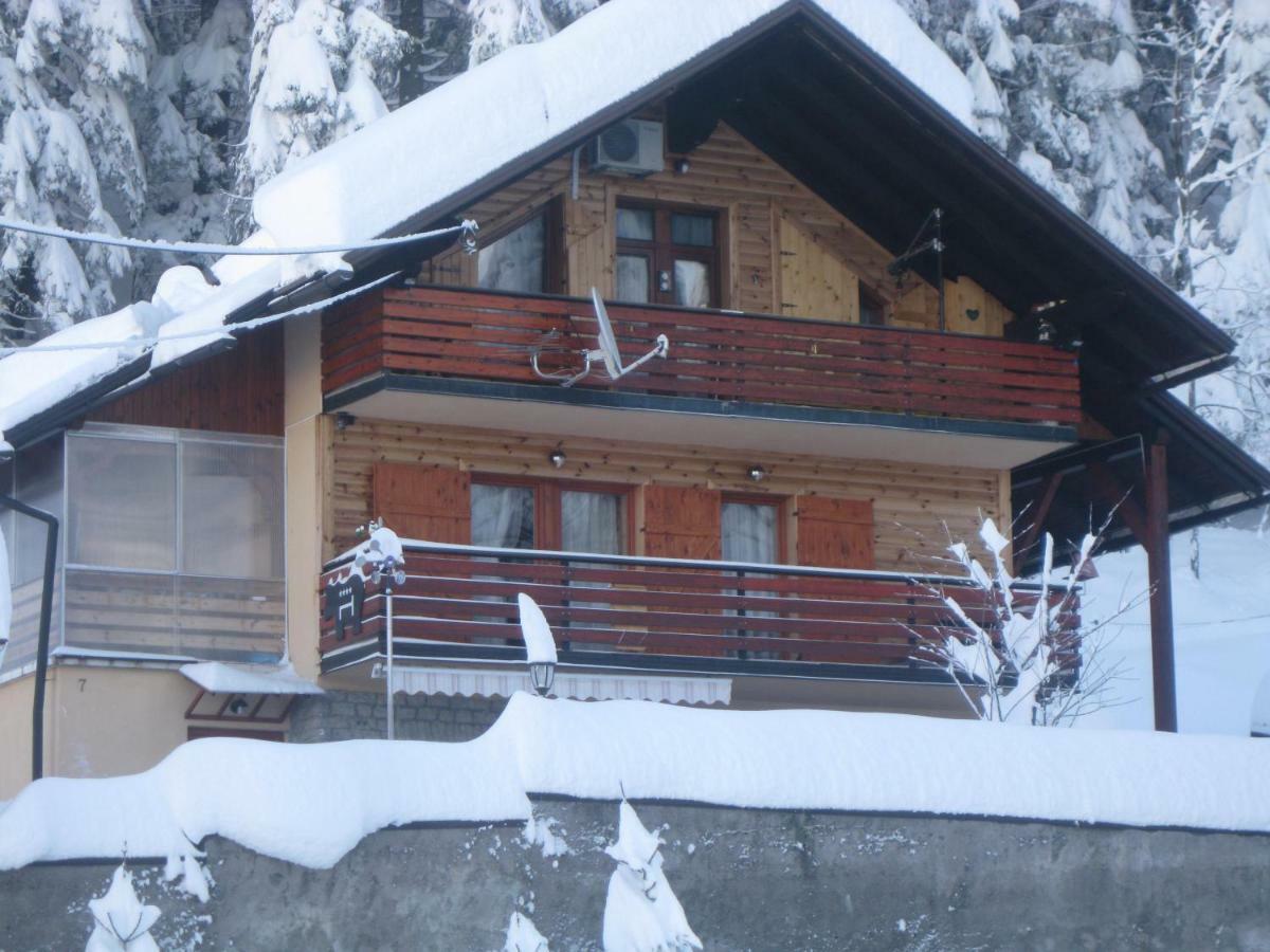 Apartment Medo Ravna Gora Bagian luar foto